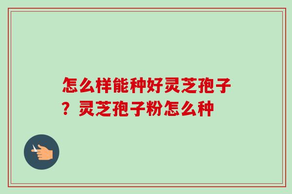 怎么样能种好灵芝孢子？灵芝孢子粉怎么种
