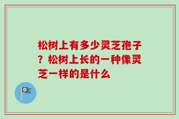 松树上有多少灵芝孢子？松树上长的一种像灵芝一样的是什么