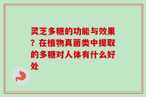 灵芝多糖的功能与效果?在植物真菌类中提取的多糖对人体有什么好处 灵芝多糖的功能与效果?在植物真菌类中提取的多糖对人体有什么好处