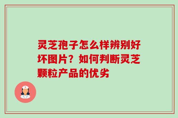 灵芝孢子怎么样辨别好坏图片?如何判断灵芝颗粒产品的优劣 灵芝孢子怎么样辨别好坏图片?如何判断灵芝颗粒产品的优劣