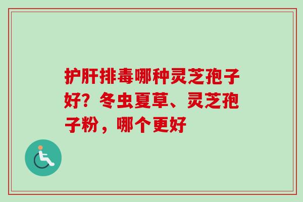 哪种灵芝孢子好?冬虫夏草、灵芝孢子粉,哪个更好 哪种灵芝孢子好?冬虫夏草、灵芝孢子粉,哪个更好