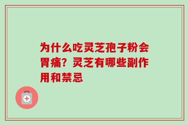 为什么吃灵芝孢子粉会胃痛？灵芝有哪些副作用和禁忌
