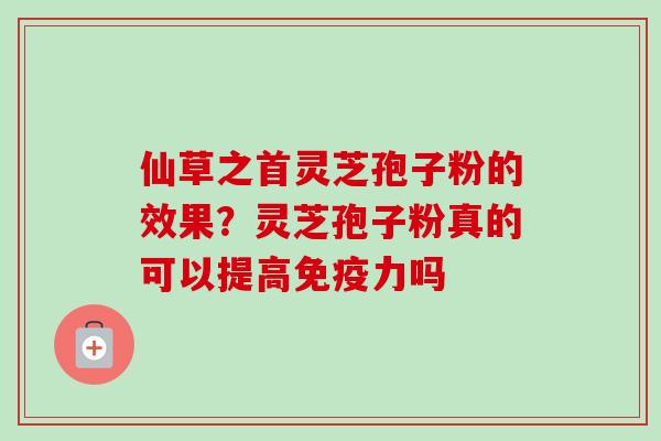 仙草之首灵芝孢子粉的效果?灵芝孢子粉真的可以提高免疫力吗 仙草之首灵芝孢子粉的效果?灵芝孢子粉真的可以提高免疫力吗