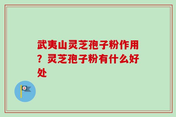 武夷山灵芝孢子粉作用?灵芝孢子粉有什么好处 武夷山灵芝孢子粉作用?灵芝孢子粉有什么好处