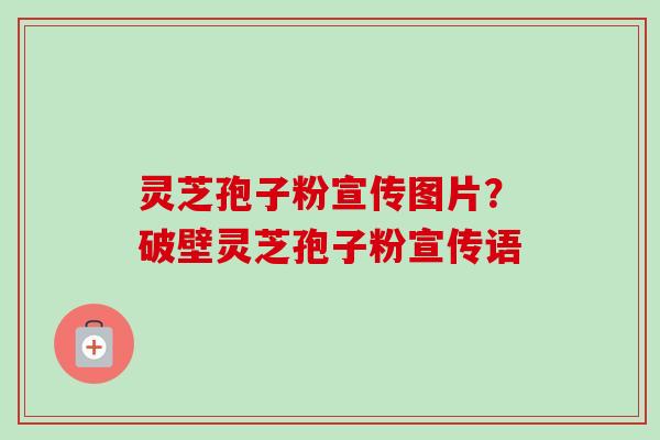 灵芝孢子粉宣传图片？破壁灵芝孢子粉宣传语
