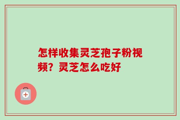 怎样收集灵芝孢子粉视频?灵芝怎么吃好 怎样收集灵芝孢子粉视频?灵芝怎么吃好