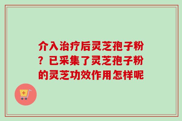 介入后灵芝孢子粉?已采集了灵芝孢子粉的灵芝功效作用怎样呢 介入后灵芝孢子粉?已采集了灵芝孢子粉的灵芝功效作用怎样呢