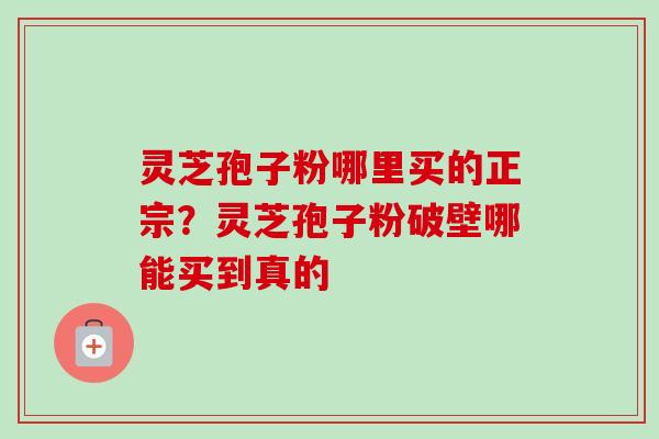 灵芝孢子粉哪里买的正宗？灵芝孢子粉破壁哪能买到真的