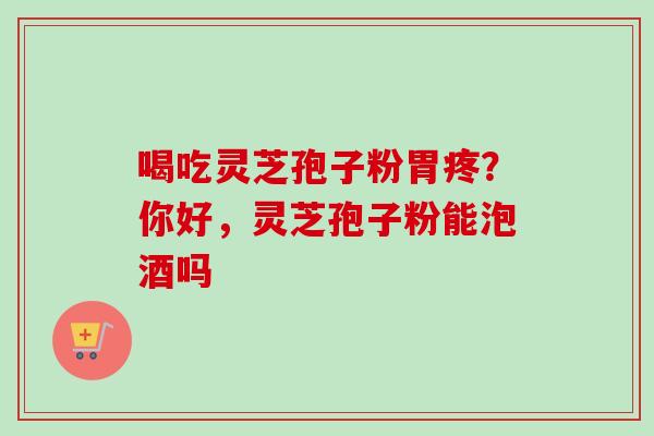 喝吃灵芝孢子粉胃疼？你好，灵芝孢子粉能泡酒吗