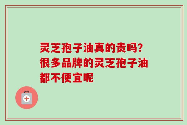 灵芝孢子油真的贵吗?很多品牌的灵芝孢子油都不便宜呢 灵芝孢子油真的贵吗?很多品牌的灵芝孢子油都不便宜呢