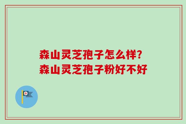 森山灵芝孢子怎么样？森山灵芝孢子粉好不好