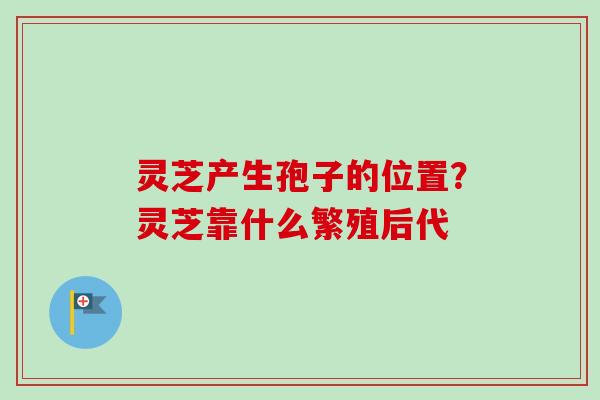 灵芝产生孢子的位置?灵芝靠什么繁殖后代 灵芝产生孢子的位置?灵芝靠什么繁殖后代