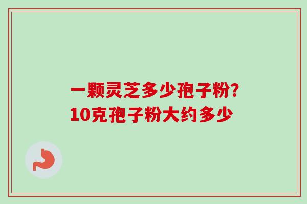 一颗灵芝多少孢子粉?10克孢子粉大约多少 一颗灵芝多少孢子粉?10克孢子粉大约多少