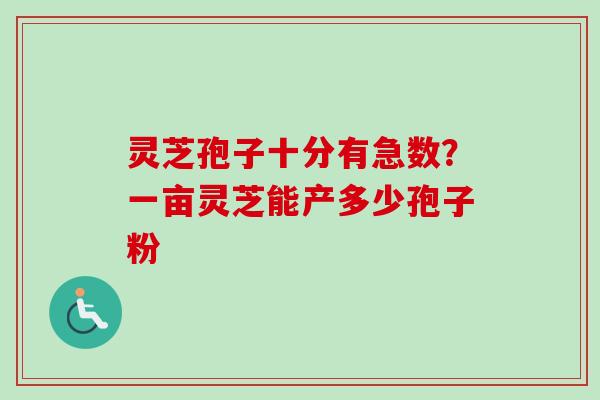 灵芝孢子十分有急数?一亩灵芝能产多少孢子粉 灵芝孢子十分有急数?一亩灵芝能产多少孢子粉
