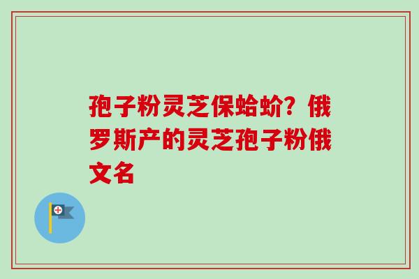 孢子粉灵芝保蛤蚧?俄罗斯产的灵芝孢子粉俄文名 孢子粉灵芝保蛤蚧?俄罗斯产的灵芝孢子粉俄文名