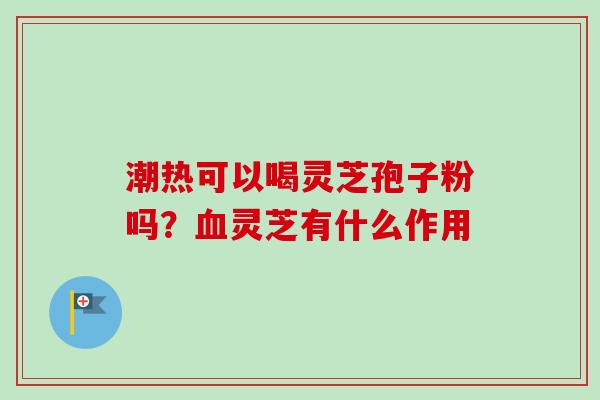潮热可以喝灵芝孢子粉吗?灵芝有什么作用 潮热可以喝灵芝孢子粉吗?灵芝有什么作用
