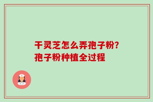 干灵芝怎么弄孢子粉?孢子粉种植全过程 干灵芝怎么弄孢子粉?孢子粉种植全过程