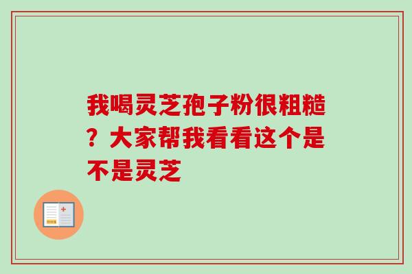 我喝灵芝孢子粉很粗糙?大家帮我看看这个是不是灵芝 我喝灵芝孢子粉很粗糙?大家帮我看看这个是不是灵芝