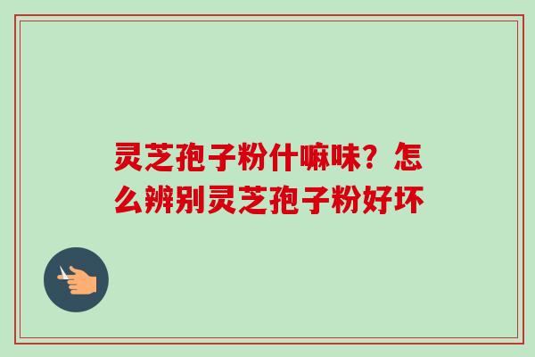 灵芝孢子粉什嘛味?怎么辨别灵芝孢子粉好坏 灵芝孢子粉什嘛味?怎么辨别灵芝孢子粉好坏