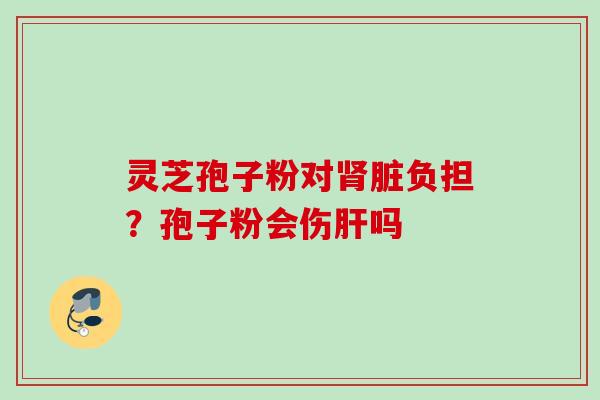 灵芝孢子粉对脏负担?孢子粉会伤吗 灵芝孢子粉对脏负担?孢子粉会伤吗