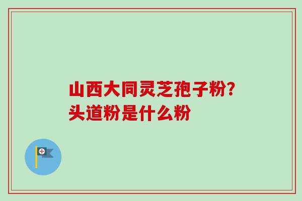 山西大同灵芝孢子粉?头道粉是什么粉 山西大同灵芝孢子粉?头道粉是什么粉