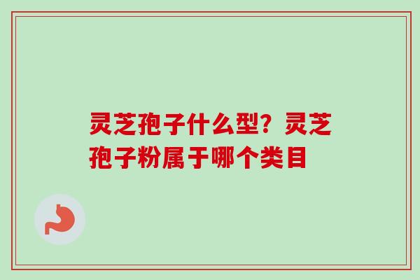灵芝孢子什么型？灵芝孢子粉属于哪个类目