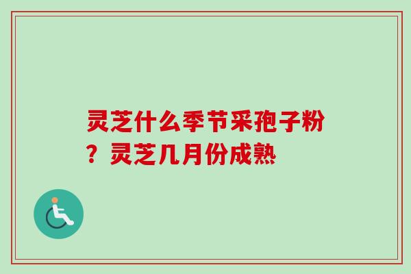 灵芝什么季节采孢子粉?灵芝几月份成熟 灵芝什么季节采孢子粉?灵芝几月份成熟