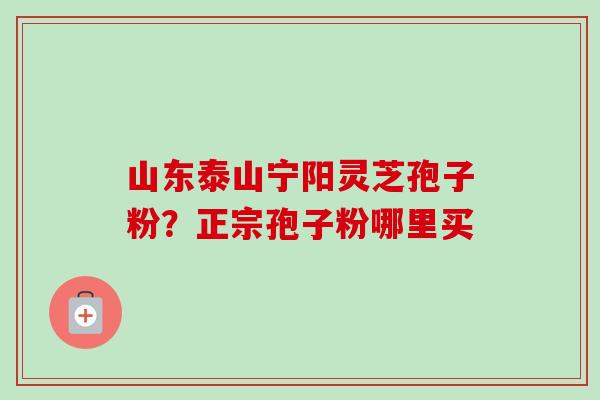 山东泰山宁阳灵芝孢子粉?正宗孢子粉哪里买 山东泰山宁阳灵芝孢子粉?正宗孢子粉哪里买