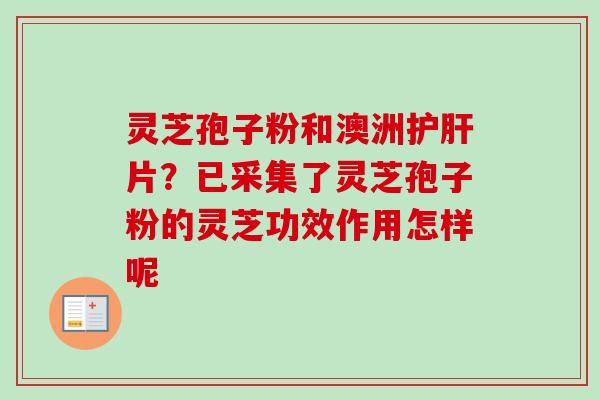 灵芝孢子粉和澳洲片？已采集了灵芝孢子粉的灵芝功效作用怎样呢