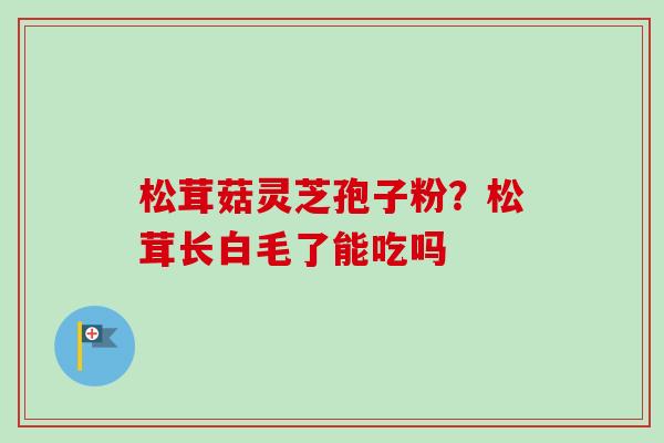 松茸菇灵芝孢子粉?松茸长白毛了能吃吗 松茸菇灵芝孢子粉?松茸长白毛了能吃吗