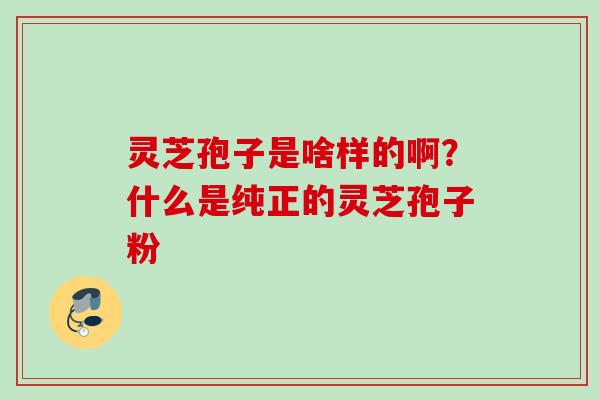灵芝孢子是啥样的啊?什么是纯正的灵芝孢子粉 灵芝孢子是啥样的啊?什么是纯正的灵芝孢子粉
