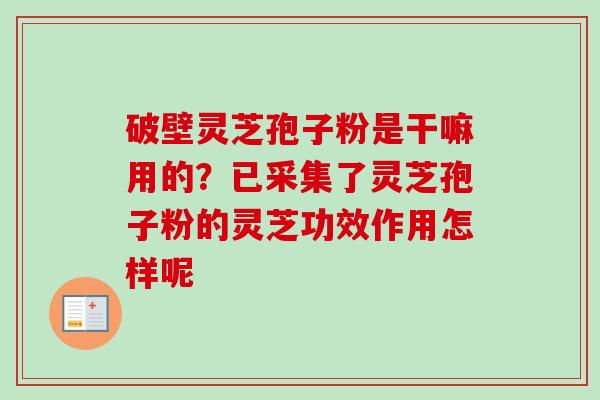 破壁灵芝孢子粉是干嘛用的?已采集了灵芝孢子粉的灵芝功效作用怎样呢 破壁灵芝孢子粉是干嘛用的?已采集了灵芝孢子粉的灵芝功效作用怎样呢