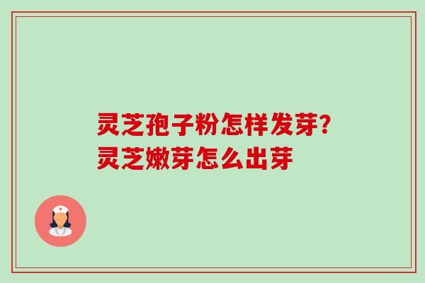 灵芝孢子粉怎样发芽？灵芝嫩芽怎么出芽
