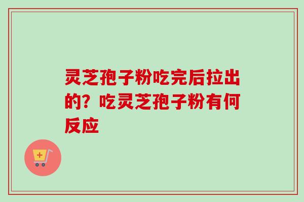 灵芝孢子粉吃完后拉出的？吃灵芝孢子粉有何反应