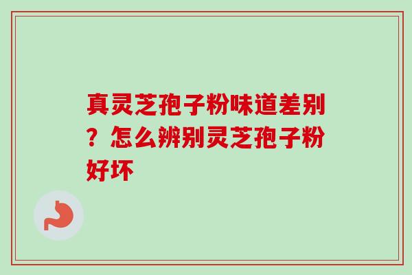 真灵芝孢子粉味道差别？怎么辨别灵芝孢子粉好坏