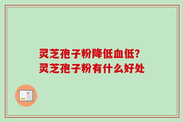 灵芝孢子粉降低低?灵芝孢子粉有什么好处 灵芝孢子粉降低低?灵芝孢子粉有什么好处