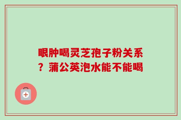 眼肿喝灵芝孢子粉关系?蒲公英泡水能不能喝 眼肿喝灵芝孢子粉关系?蒲公英泡水能不能喝