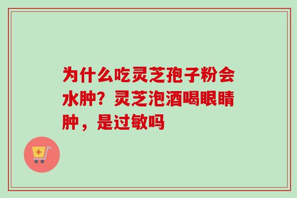 为什么吃灵芝孢子粉会水肿?灵芝泡酒喝眼睛肿,是吗 为什么吃灵芝孢子粉会水肿?灵芝泡酒喝眼睛肿,是吗