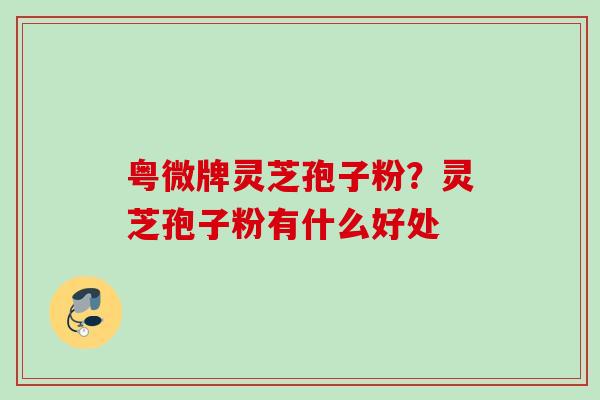 粤微牌灵芝孢子粉？灵芝孢子粉有什么好处
