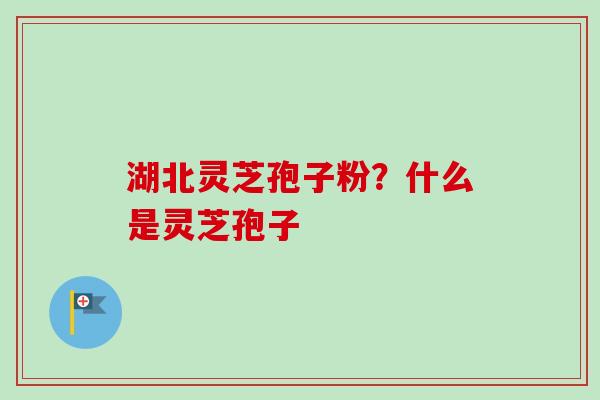 湖北灵芝孢子粉?什么是灵芝孢子 湖北灵芝孢子粉?什么是灵芝孢子