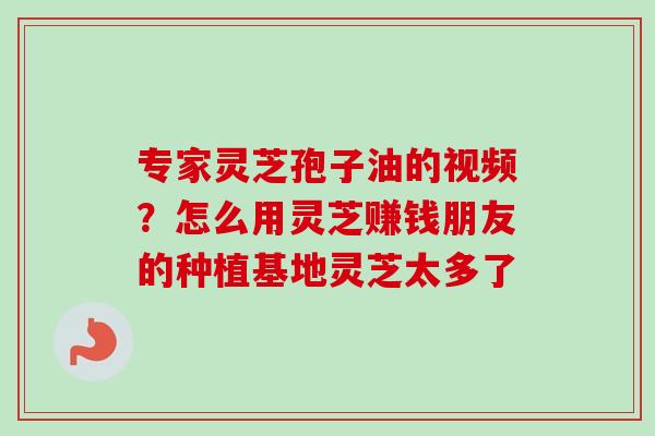 专家灵芝孢子油的视频?怎么用灵芝赚钱朋友的种植基地灵芝太多了 专家灵芝孢子油的视频?怎么用灵芝赚钱朋友的种植基地灵芝太多了