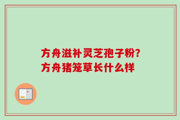 方舟滋补灵芝孢子粉?方舟猪笼草长什么样 方舟滋补灵芝孢子粉?方舟猪笼草长什么样