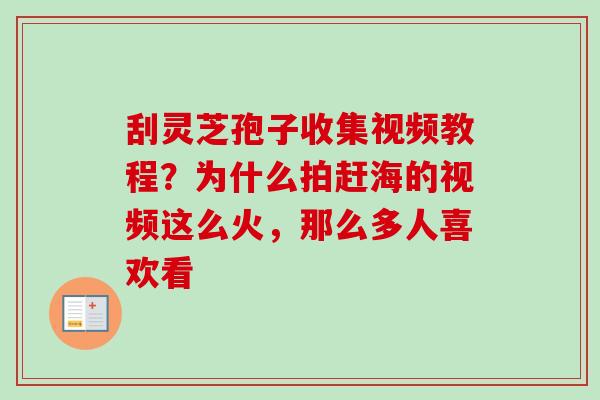 刮灵芝孢子收集视频教程?为什么拍赶海的视频这么火,那么多人喜欢看 刮灵芝孢子收集视频教程?为什么拍赶海的视频这么火,那么多人喜欢看