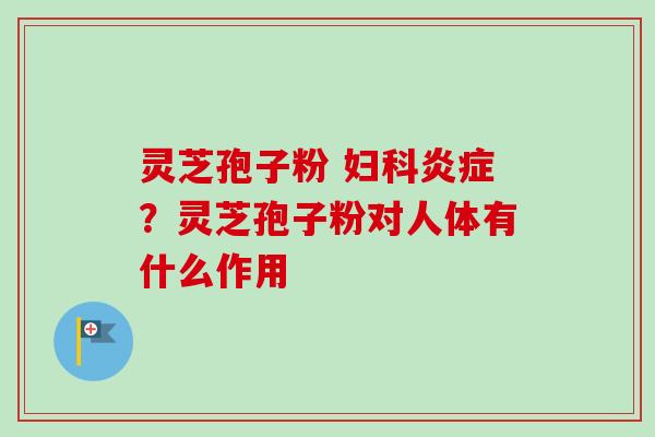 灵芝孢子粉 ？灵芝孢子粉对人体有什么作用