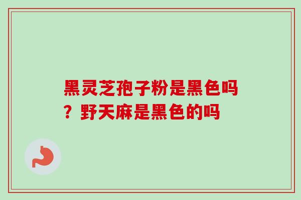 黑灵芝孢子粉是黑色吗?野天麻是黑色的吗 黑灵芝孢子粉是黑色吗?野天麻是黑色的吗
