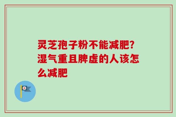 灵芝孢子粉不能？湿气重且脾虚的人该怎么