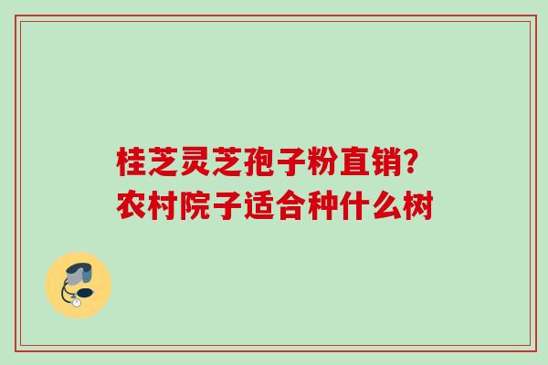 桂芝灵芝孢子粉直销？农村院子适合种什么树