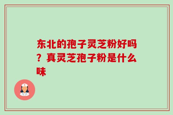 东北的孢子灵芝粉好吗?真灵芝孢子粉是什么味 东北的孢子灵芝粉好吗?真灵芝孢子粉是什么味