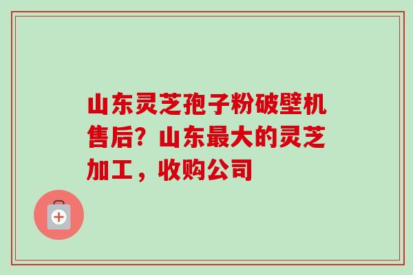 山东灵芝孢子粉破壁机售后?山东大的灵芝加工,收购公司 山东灵芝孢子粉破壁机售后?山东大的灵芝加工,收购公司