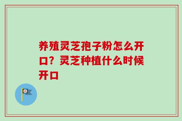 养殖灵芝孢子粉怎么开口?灵芝种植什么时候开口 养殖灵芝孢子粉怎么开口?灵芝种植什么时候开口